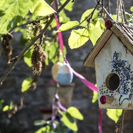 Country House Araba Phoenix Castellabate Luaran gambar